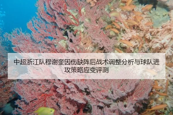 中超浙江队穆谢奎因伤缺阵后战术调整分析与球队进攻策略应变评测